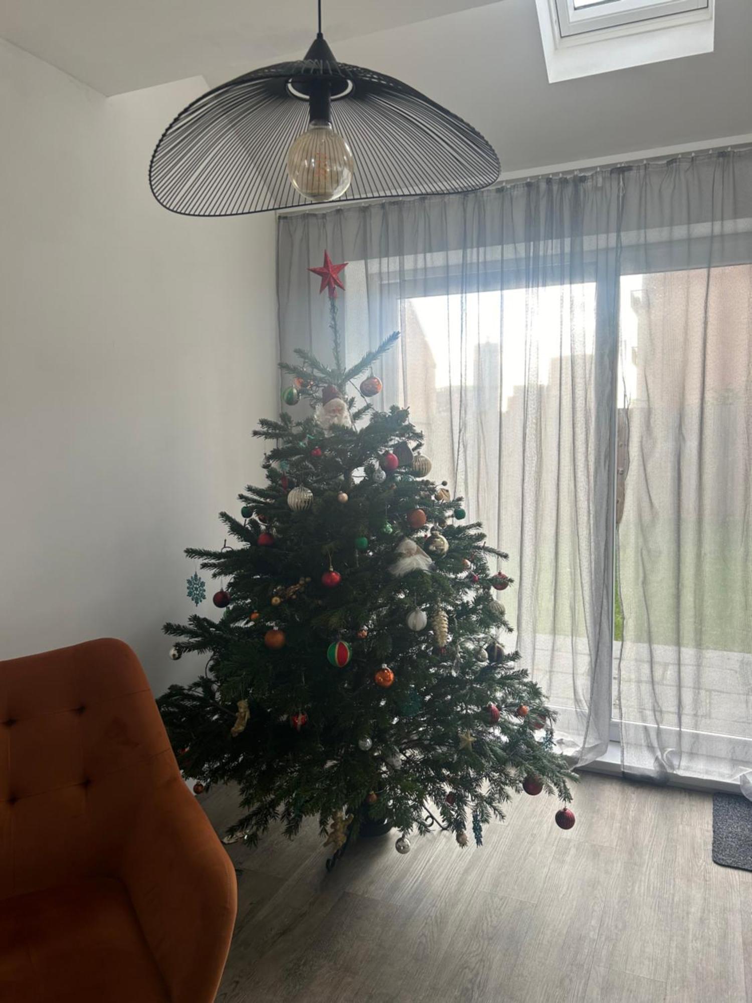 The Red House Modern Stylish Home From Home Walking Distance To Cardiff Bay And City Centre With Parking المظهر الخارجي الصورة